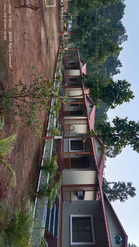 Luxury resort pool with palm trees at sunset